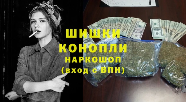 ПСИЛОЦИБИНОВЫЕ ГРИБЫ Горнозаводск