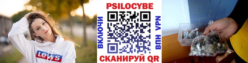 Купить закладки  Лабытнанги  Псилоцибиновые грибы MAGIC MUSHROOMS 